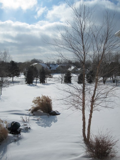 IMG_1128 Christmas snow aftermath